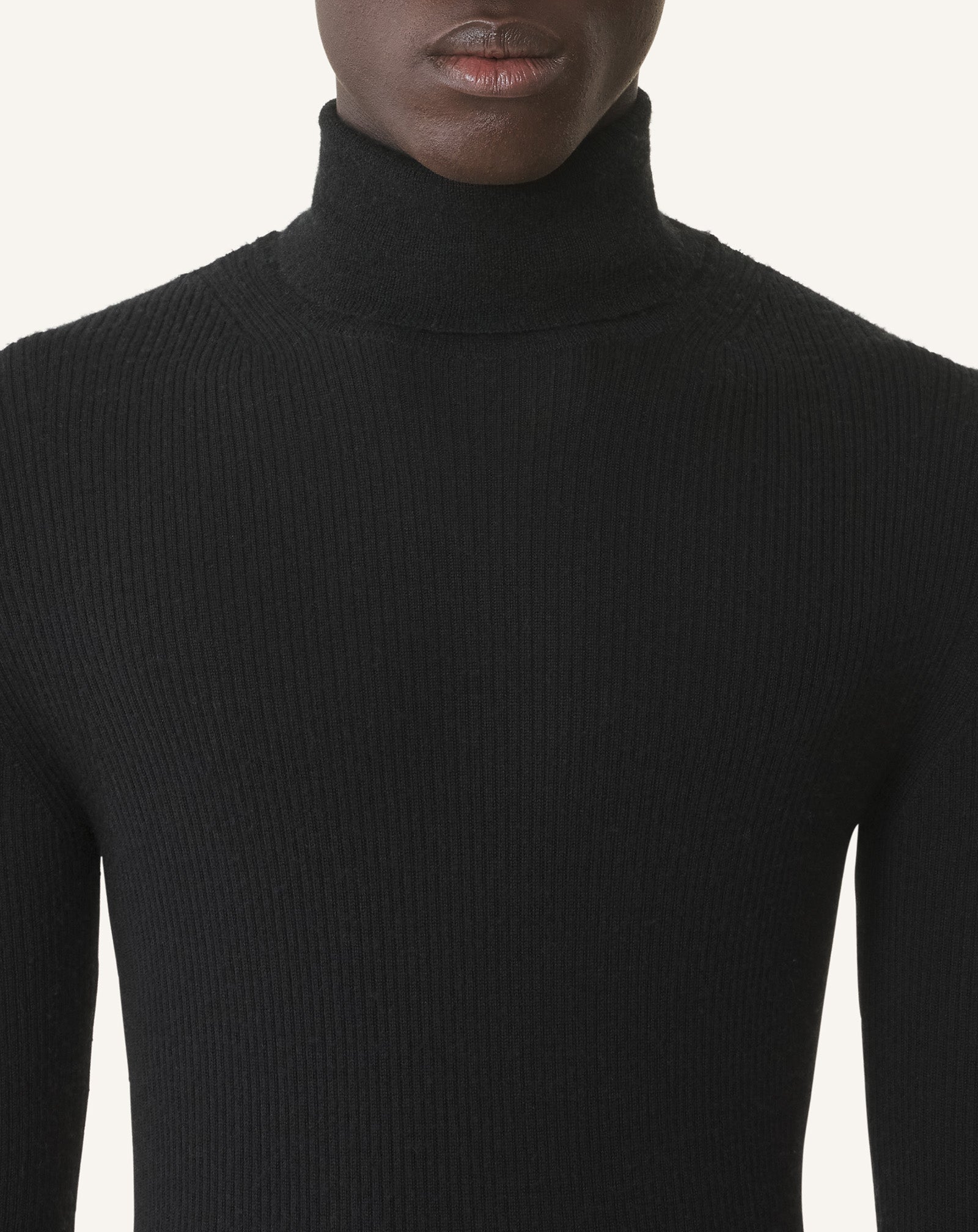 TURTLENECK SWEATER IN MERINO WOOL AND SILK