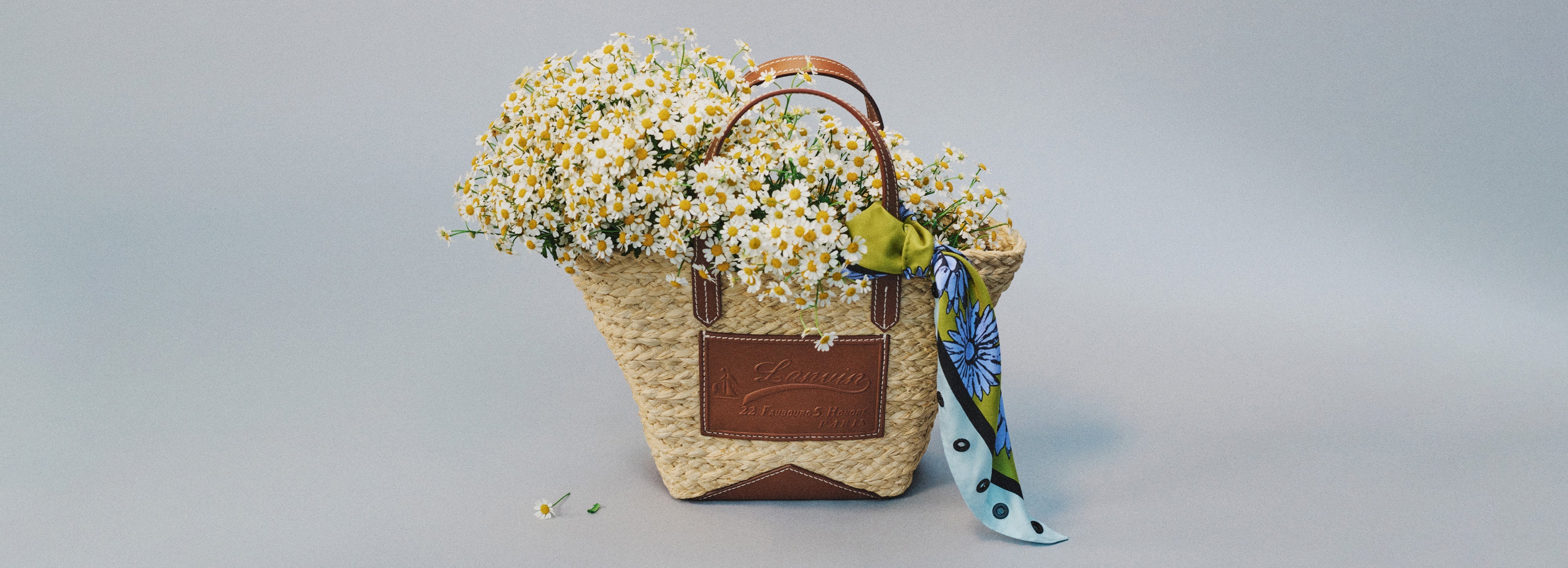 Spring 2026 Collection for Women