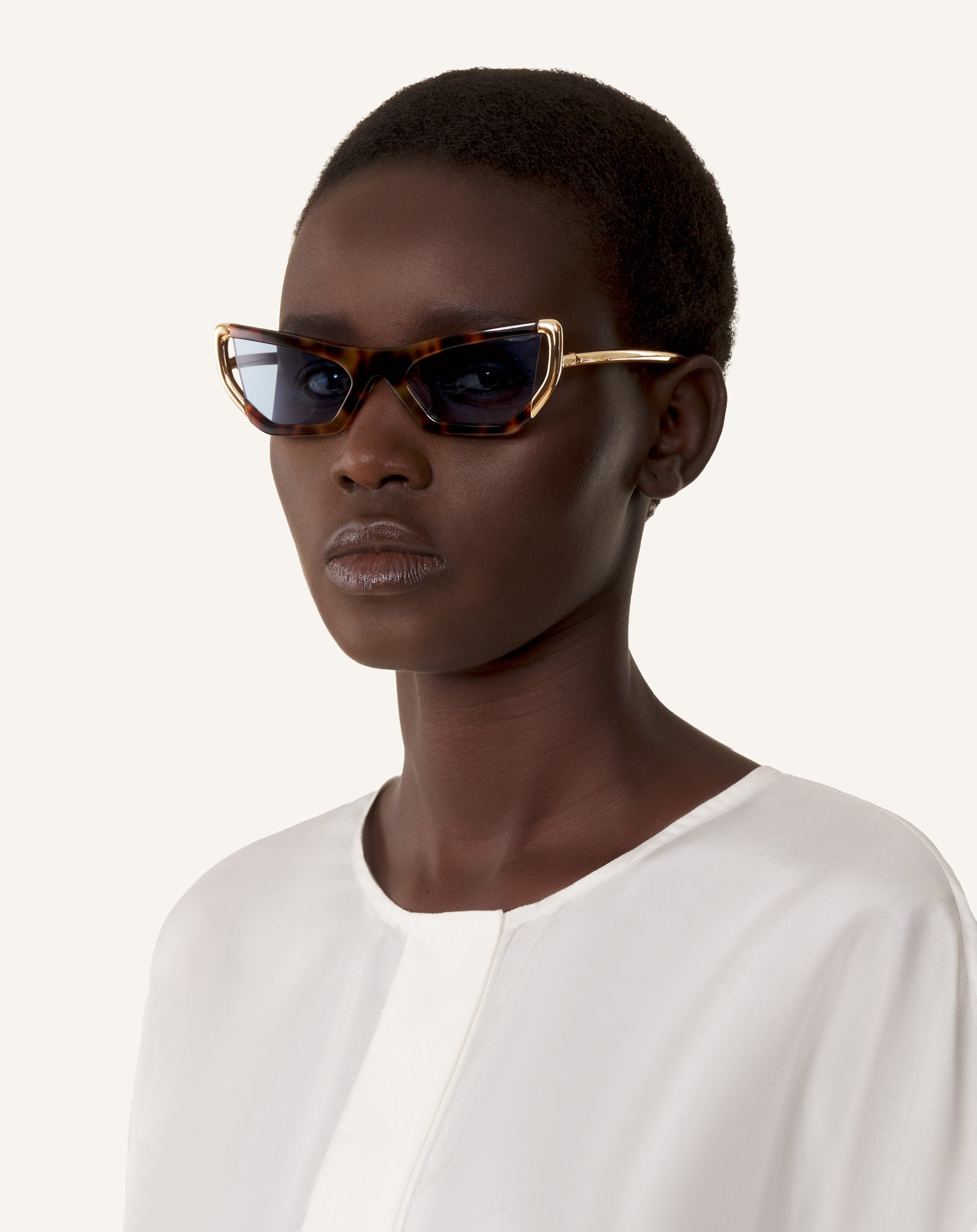 BROWN NOVA SUNGLASSES